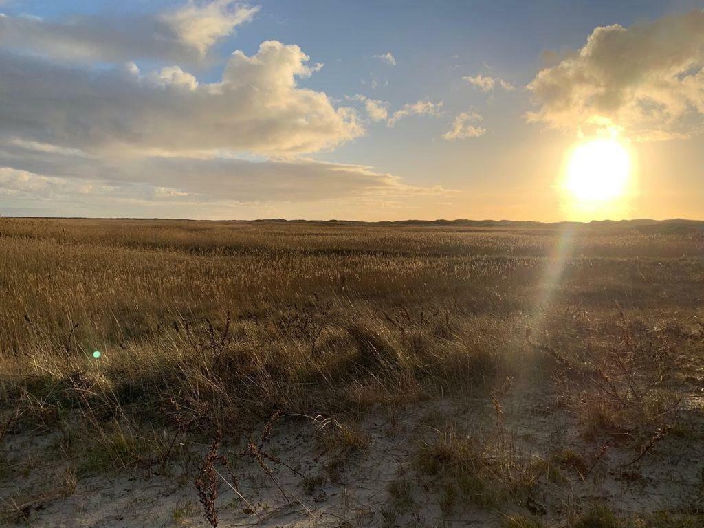 Sandbank Sankt Peter-Ording Exterior photo